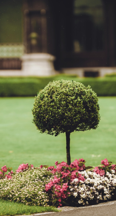 landscaping